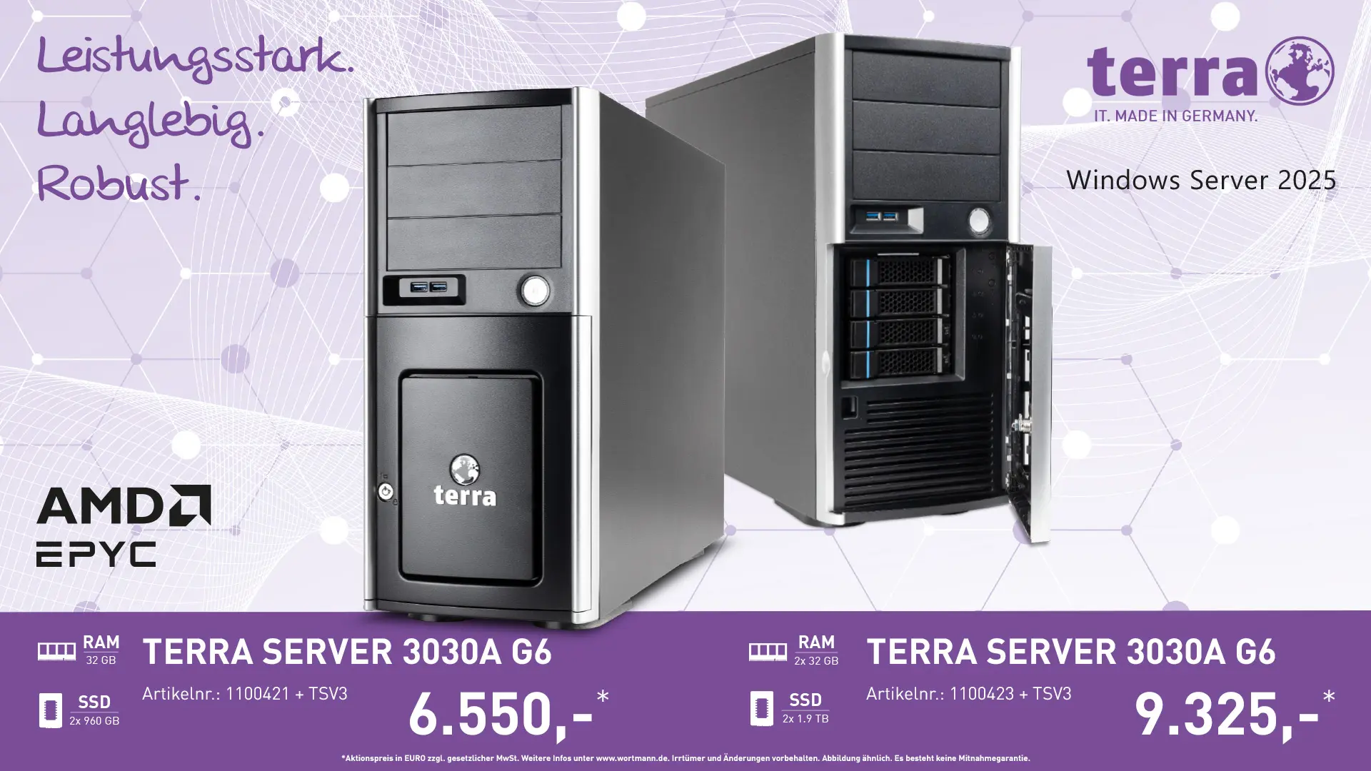 TERRA-SERVER-3030A-G6